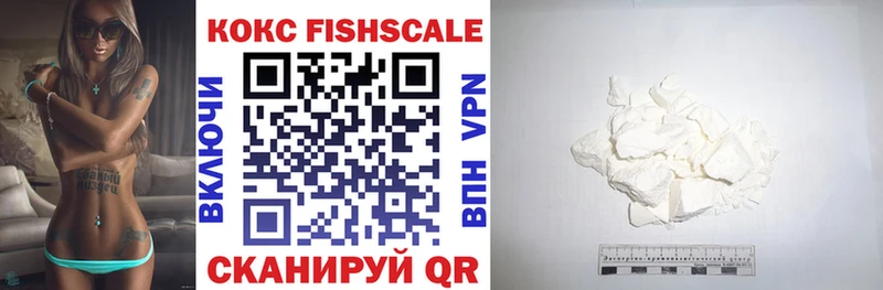 Cocaine FishScale  blacksprut   Вичуга 