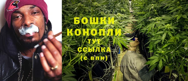 прущий лед Верея