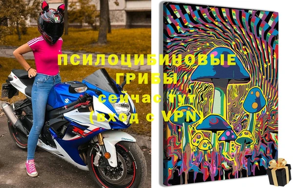 jwh Медвежьегорск