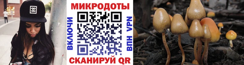 Псилоцибиновые грибы MAGIC MUSHROOMS  KRAKEN ONION  Вичуга 
