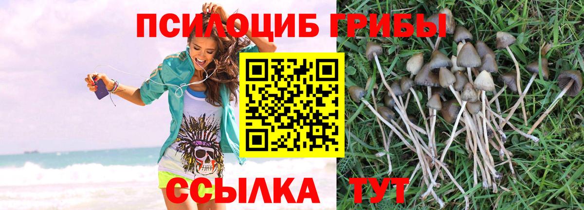 Псилоцибиновые грибы GOLDEN TEACHER  Вход с VPN  Вичуга 